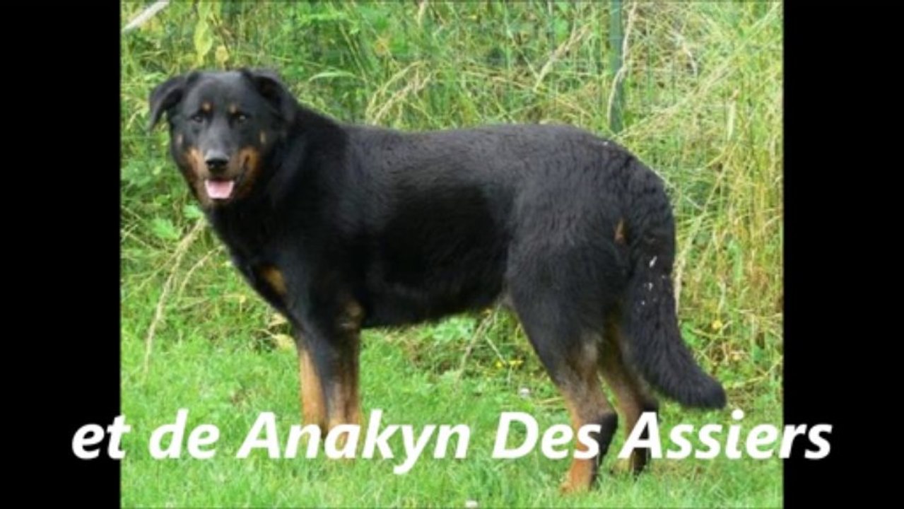 Indienne de Cheyenne Des Gardiens de la Nacre