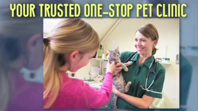 Bronx Veterinary Care | Middletown Animal Clinic Call (718) 824-8300