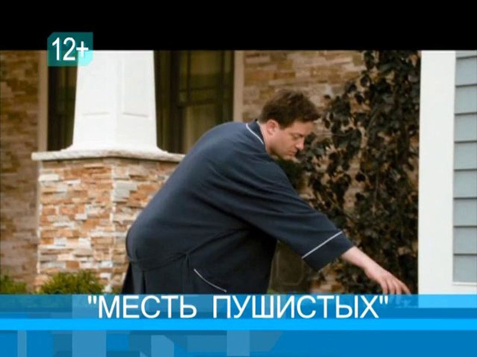 КВД_31_08_WM_ARCHIVE_PAL
