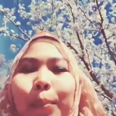 Mobile Capture 25/08/2013