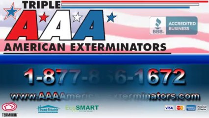 Pest & Wildlife Control CT