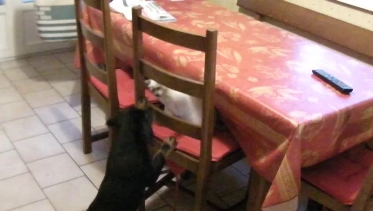 Igor et Isis les 2 complices