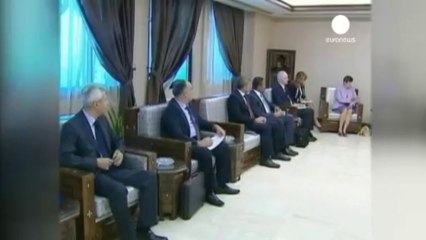 BM denetçileri Suriye'de işbaşı yapıyor