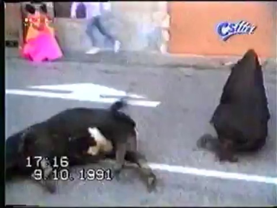 Accident de taureau en pleine rue !