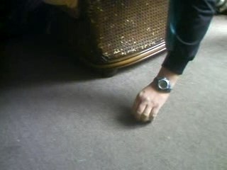 Lola qui "mange" la main de mon père