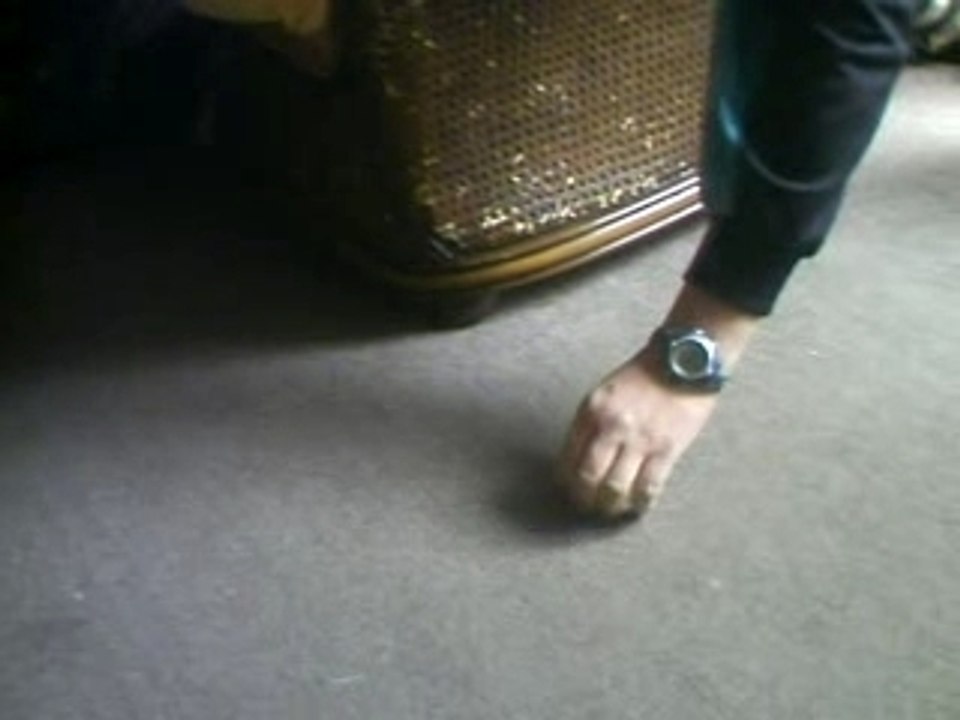 Lola qui "mange" la main de mon père