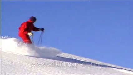 Heli-skiing-Beta SP-7-4