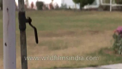 Sulabh-Museum-of-toilet-27