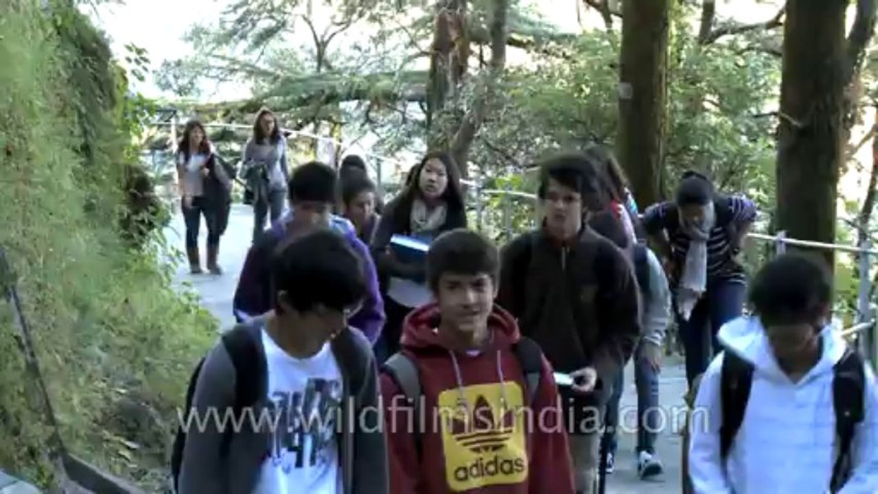 Woodstock-School-14