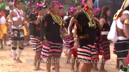 Hornbill Festival-North East-Tape-19-11