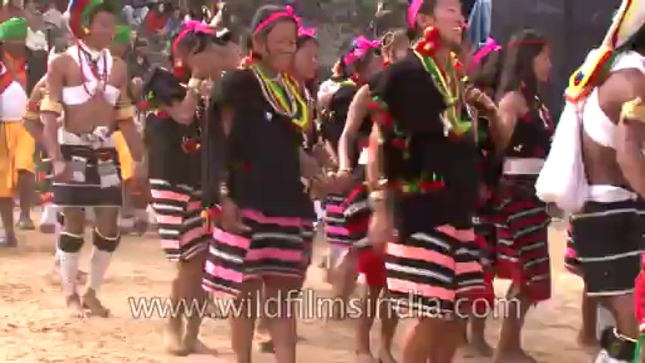 Hornbill Festival-North East-Tape-19-11