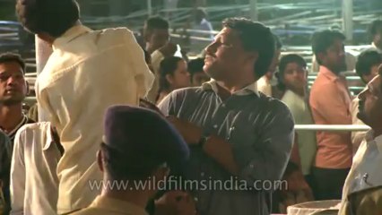 Fish remedy-hyderabad-23