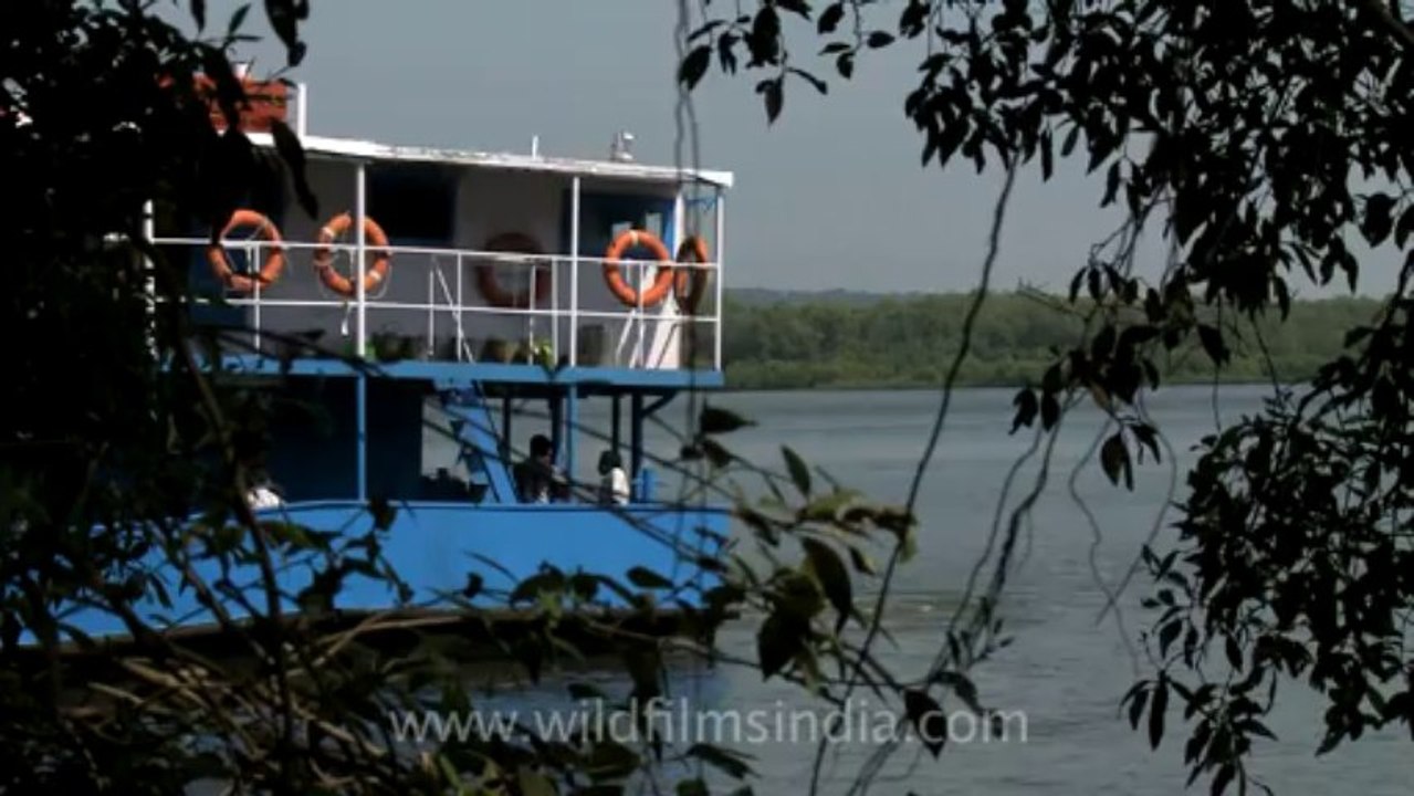 Goa-boat-5