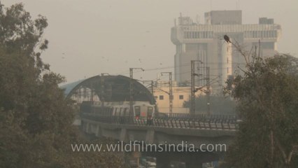 Karol bagh-metro train-7