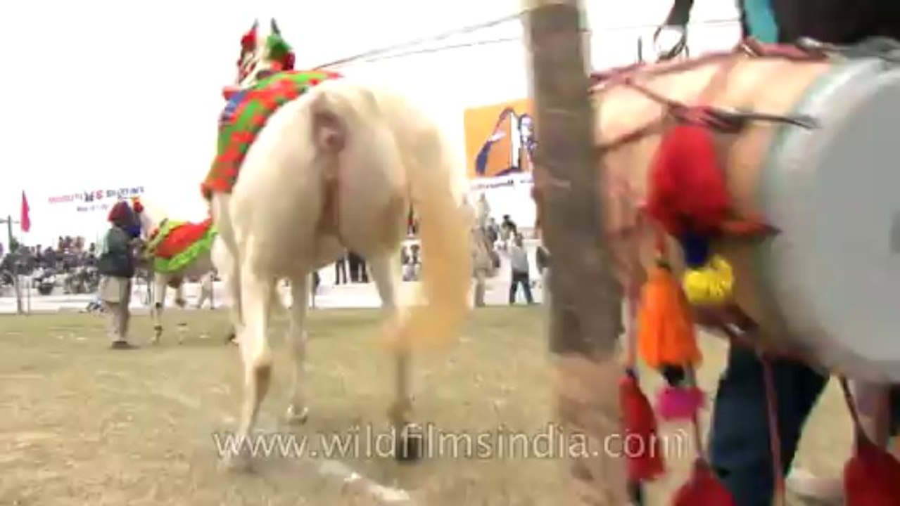 Kila-Raipur-HDV-578-5-3