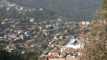 Kohima city-EX3-2