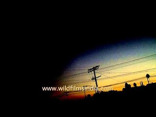 Electricity grid of USA