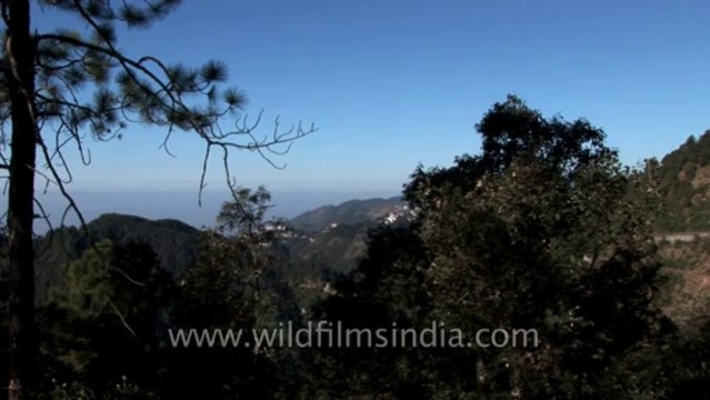 Mussoorie-HDV-tape-1-1-2