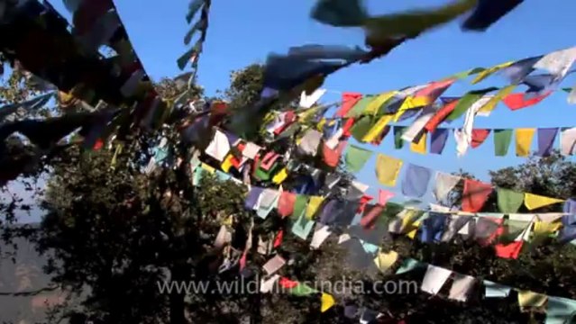 Mussoorie-Himalayan education-hdv-tape-11-prayer flag-1