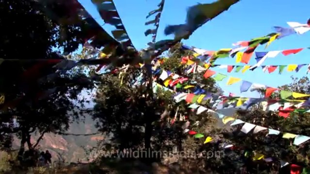 Mussoorie-Himalayan education-hdv-tape-11-prayer flag-2