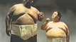 combat de sumo / japanese sumo fight