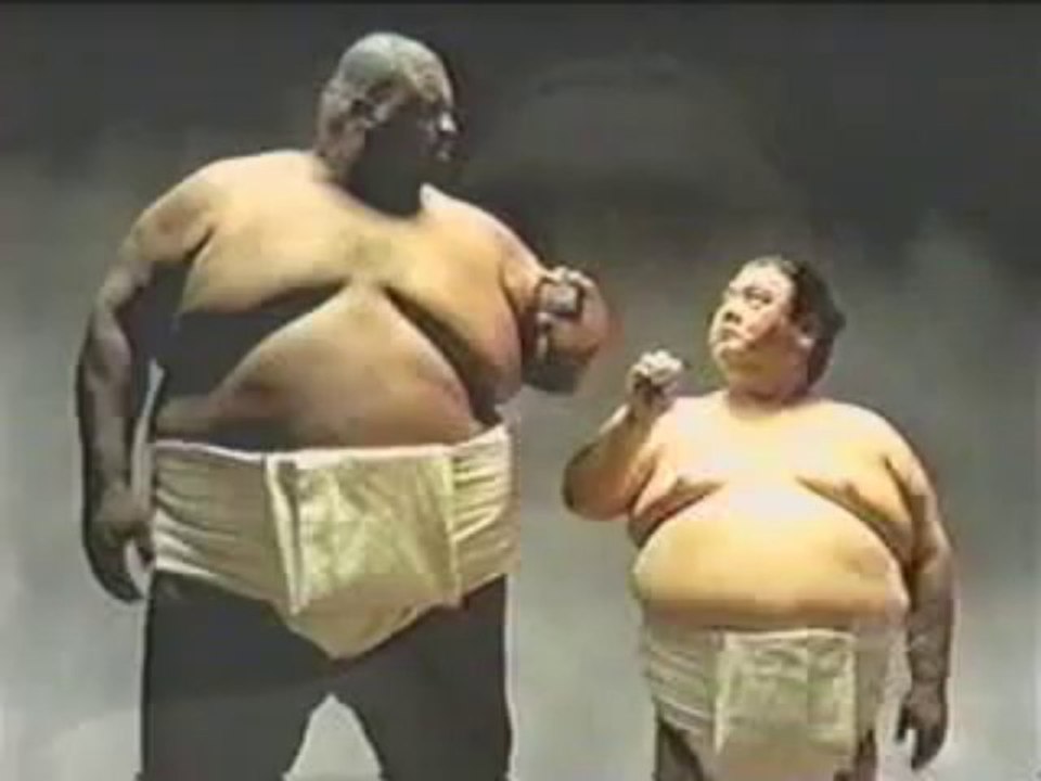 combat de sumo / japanese sumo fight