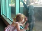 Quand une fillette et un bébé gorille deviennent les meilleurs amis du monde au Zoo!!