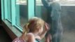 Quand une fillette et un bébé gorille deviennent les meilleurs amis du monde au Zoo!!