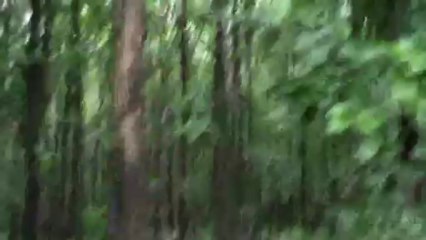 Enjoy Your Puja Vacation in Bhutanghat Heaven of Dooars