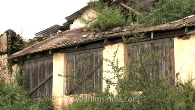 Mussoorie-Dalai lama-Haunted house-2