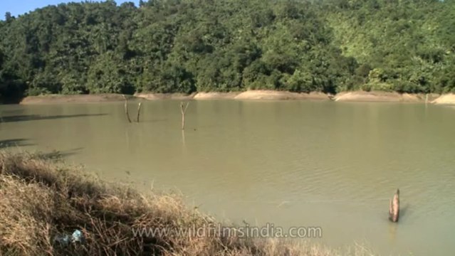 Nagaland-Doyang river-1