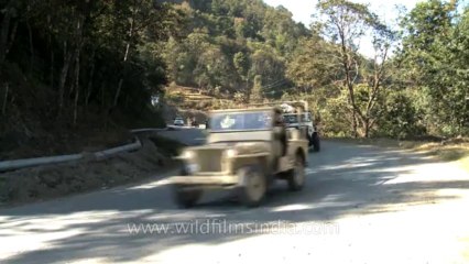 Nagaland-hornbill festival-2nd world war rally-2