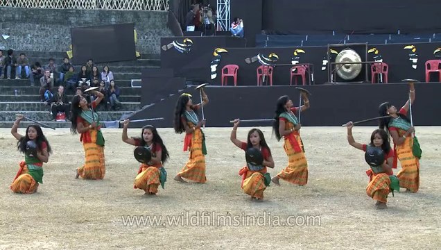 Nagaland-hornbill festival-Assam cultural troop-4