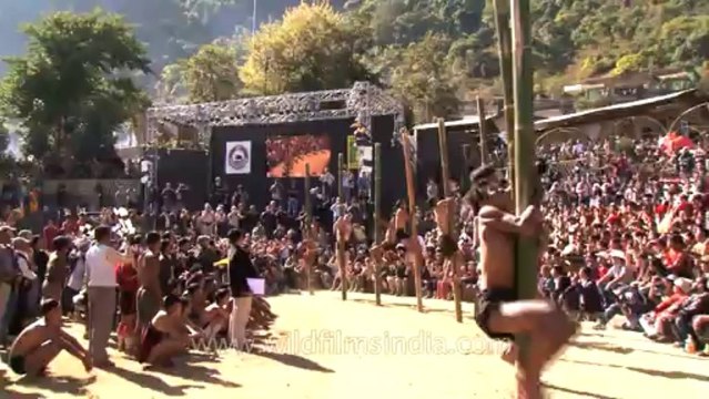 Nagaland-hornbill festival-Foreigner participating in Greased bamboo pole climbing-1