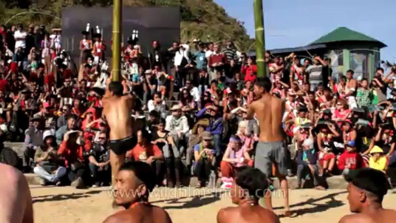Nagaland-hornbill festival-Greased bamboo pole climbing-1