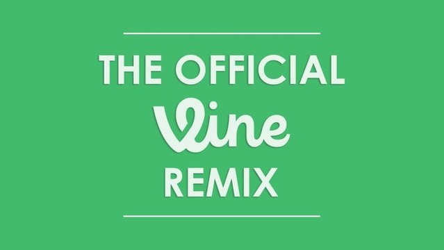 BEST VINES of 2013 REMIX - Hello misses Kitty