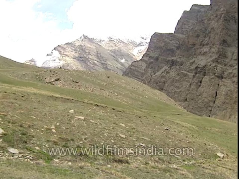 Nanda-Devi-3-7