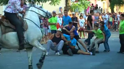 Journal de la Fête votive de Redessan