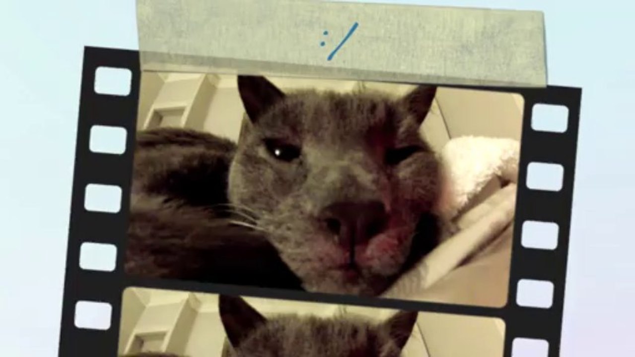 This is why i love my cat