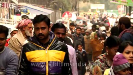 Nizamuddin Street Shops Overview