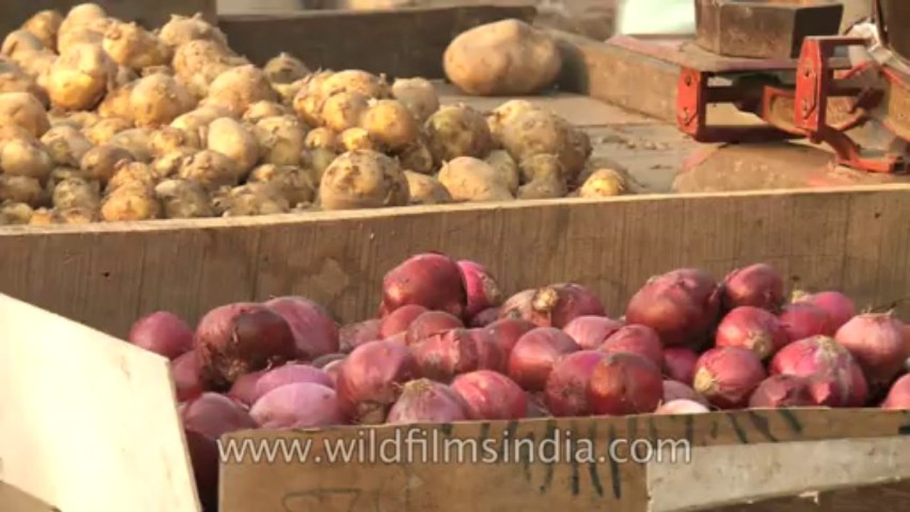 Okhla-metro station-market place-10