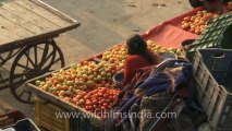 Okhla-metro station-market place-8