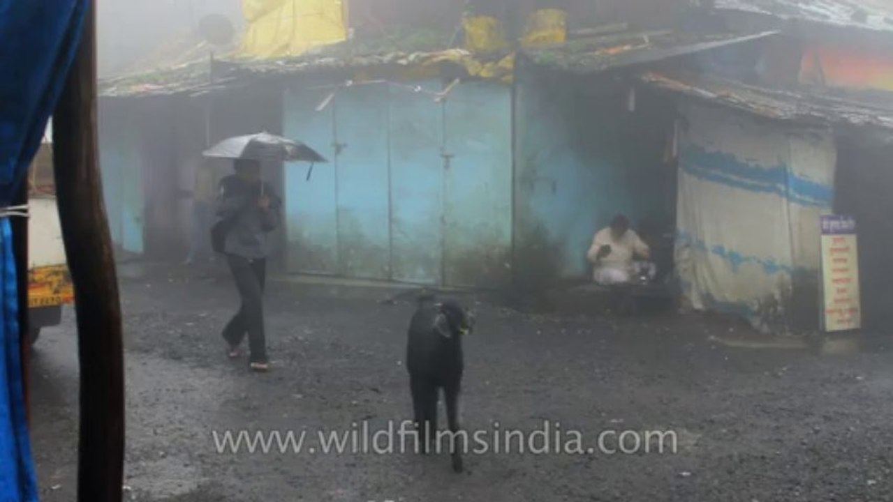 Pune-Mahabaleshwar-local market-2