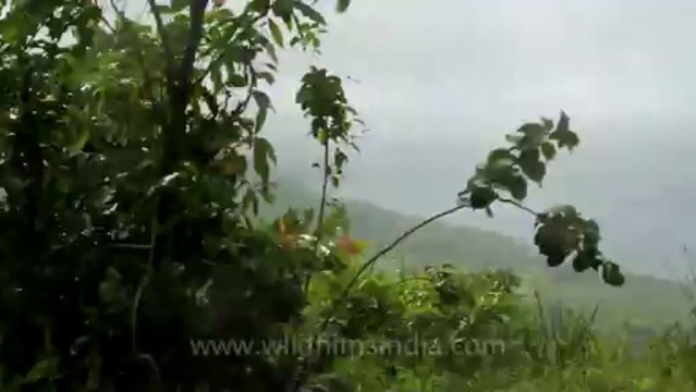 Pune-Mahabaleshwar-on the road 1