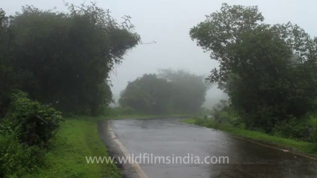 Pune-Mahabaleshwar-rain