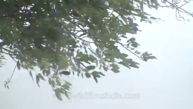 Pune-Mahabaleshwar-Wind