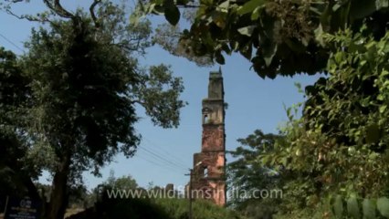 Ruins of St. Augustine complex