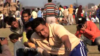 Rural Olympics-HDV-525-tug of war-2