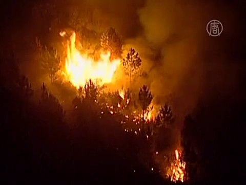 Португалия – во власти лесных пожаров