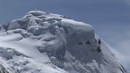 Sikkim-flower-river-HDV-540-13-3